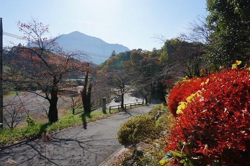 Guest House Nihon 1 Shuu Титибу Экстерьер фото